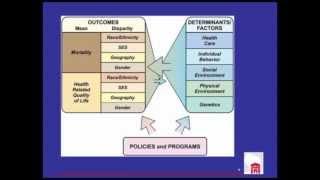 Models of Population Health [upl. by Nelson770]