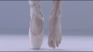 Ballet Anatomy Feet [upl. by Rimahs]