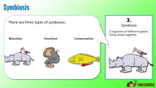 Science Cartoon Symbiosis Predation and Competition [upl. by Mcintosh535]