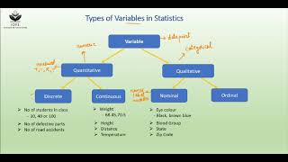 Types of Variables in Statistics [upl. by Ennazus176]