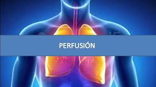 Perfusión  Fisiopatología respiratoria [upl. by Fisken]