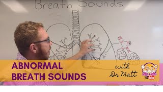 Abnormal Breath Sounds  Respiratory System [upl. by Pelligrini]