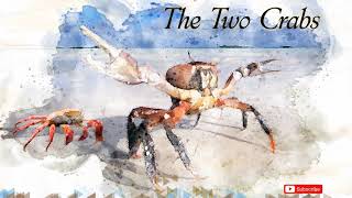 Aesops Fables  The Two Crabs [upl. by Ailicec251]