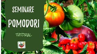 Seminare i pomodori ecco come e quando Tutorial completo [upl. by Sumaes]