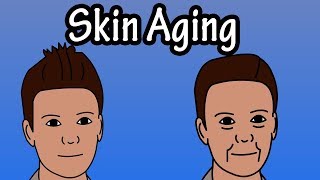 How Does The Skin Age  Skin Aging Process  Why Do We Get Wrinkles [upl. by Ehsom]