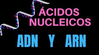 ÁCIDOS NUCLEICOS ADN Y ARN [upl. by Getraer]