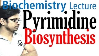 Pyrimidine biosynthesis [upl. by Valene]