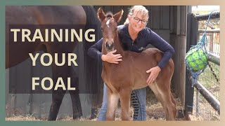 Foal Handling Tips In The First Few Days [upl. by Graf]