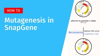 Primer Directed Mutagenesis in SnapGene [upl. by Chen]