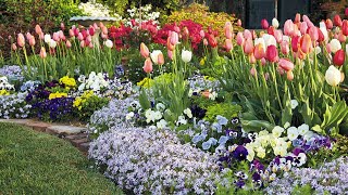 Linda Vaters Spring Tulip Garden 🌷🌷 [upl. by Map]