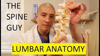 How to Read a Lumbar MRI [upl. by Auhoj]