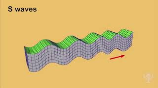 Seismic waves earthquake [upl. by Pavier797]