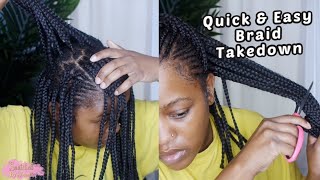 How To Take Down Small Knotless Box Braids in 15 Hours  NOT CLICKBAIT [upl. by Renmus]