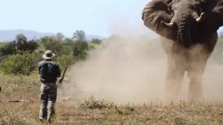 Elephant Charge  Ivan Carter [upl. by Nwahsav718]