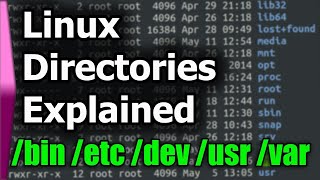 Linux File SystemStructure Explained [upl. by Alber]