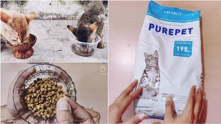 Purepet Cat Food Review  Best Cat Food In India [upl. by Inittirb767]