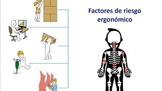 Ergonomía Laboral [upl. by Gorrian]