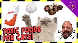 FOODS THAT ARE TOXIC TO CATS [upl. by Breger]