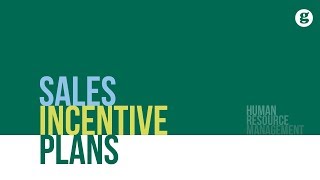 Sales Incentive Plans [upl. by Fausta166]