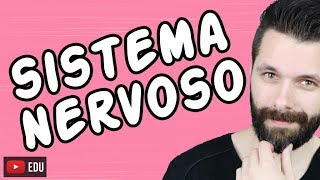 SISTEMA NERVOSO  FISIOLOGIA  Aula  Biologia com Samuel Cunha [upl. by Sirronal]