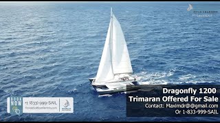 Dragonfly 1200 Trimaran FOR SALE [upl. by Ebert527]