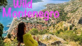 Montenegro Travel Highlights [upl. by Notlew]