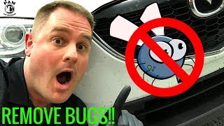 HOW TO REMOVE BUGS FROM A CAR SUPER EASY [upl. by Eedyah]