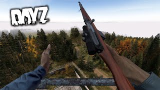 Duo Survival on Livonia  DayZ [upl. by Jeu]