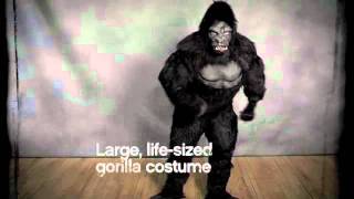 Professional Gorilla Suit Ape Halloween Costume [upl. by Ocirne955]