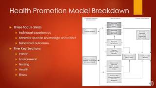 Nola Pender Health Promotion Model [upl. by Powe133]