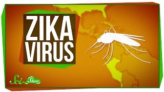 Zika Virus What We Know And What We Dont [upl. by Kohsa97]