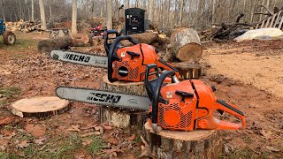 Head to Head Echo CS590 Timberwolf Vs CS620PW Chainsaw Review Ep 25 [upl. by Niai840]