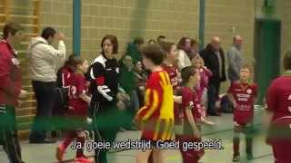 Reportage Gvoetbal SV Zulte Waregem [upl. by Nani125]