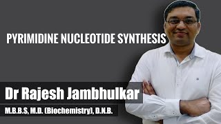 Pyrimidine nucleotide synthesis and degradation [upl. by Stilwell]