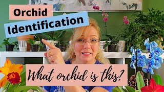 Orchid Identification The 5 Most Common Orchids for Beginners [upl. by Casta]