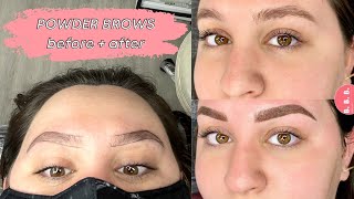 I GOT POWDER BROWS healing process  daily progress [upl. by Ogdan]