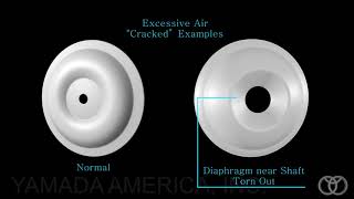 Yamada® Understanding Diaphragm Failures [upl. by Naimaj]