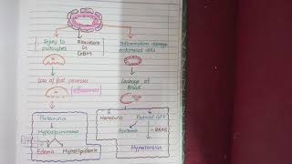 Lupus Nephritis Classifications Explained  NasirMed [upl. by Fernas]