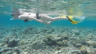 Snorkeling from the Overwater Villa at Constance Halaveli Maldives [upl. by Grimaud378]