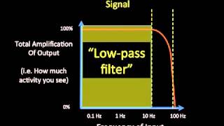 5 Technical Issues in EEG [upl. by Anawed289]