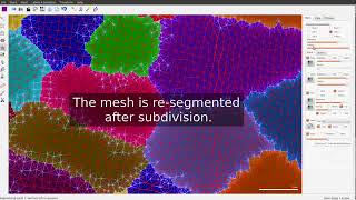 Image processing on surfaces with MorphoGraphX [upl. by Lemrahs580]