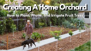 How to Plant Prune and Irrigate Fruit Trees EVERYTHING YOU NEED TO KNOW [upl. by Terrell299]