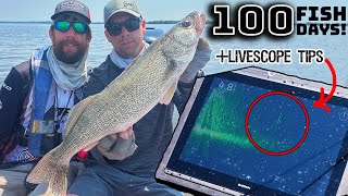 AIM WALLEYE Championship 2023 [upl. by Longo]