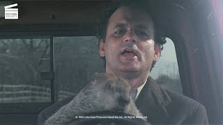 Groundhog Day The groundhog drives HD CLIP [upl. by Nyladnar14]