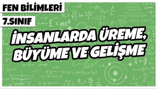 7 Sınıf Fen Bilimleri  İnsanlarda Üreme Büyüme ve Gelişme  2022 [upl. by Rossy814]