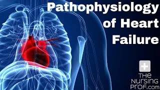 Pathophysiology of Heart Failure [upl. by Ceporah316]