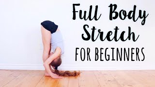 Beginner Stretches for Flexibility [upl. by Iris]