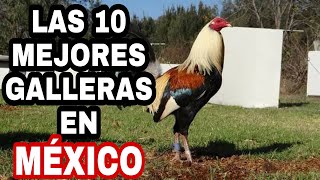 Las 10 mejores Galleras en México [upl. by Aowda]