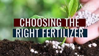 Choosing the right fertilizer for vegetable gardens [upl. by Hcirteid]