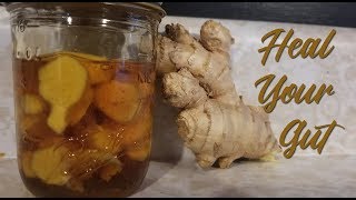 Fermented Honey Ginger  Natural Wellness  Gut Health [upl. by Quincy]